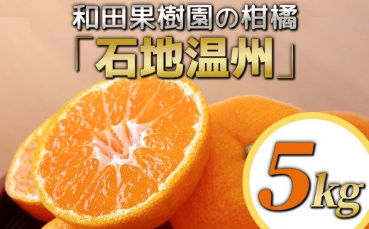 和田果樹園の石地温州 5kg 温州みかん ミカン オレンジ 柑橘類 果物 フルーツ 大分県産 九州産 津久見市 国産