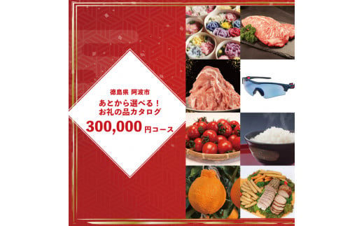 ゆっくりえらべる カタログ 30万円 コース あとから選べる 鮮魚 肉 米 酒 定期便 スイーツ フルーツ 選べる ギフト セレクト 【 徳島県 阿波市 】