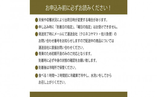 [HS]【定期便 全2回】ぶどう 2025年 先行予約 9月・10月発送 最高級品シャイン マスカット 晴王 1房 約600g【ブドウ 葡萄  岡山県産 船穂産 フルーツ 果物 ギフト】