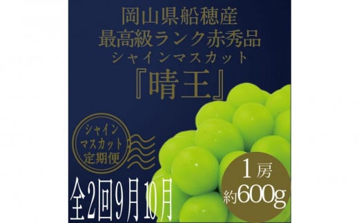 [HS]【定期便 全2回】ぶどう 2025年 先行予約 9月・10月発送 最高級品シャイン マスカット 晴王 1房 約600g【ブドウ 葡萄  岡山県産 船穂産 フルーツ 果物 ギフト】