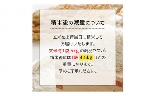 令和6年産【精米日出荷】みずほの村市場牛久店　関さんの「姫ごのみ」 4.5kg 特別栽培農産物 認定米 新米