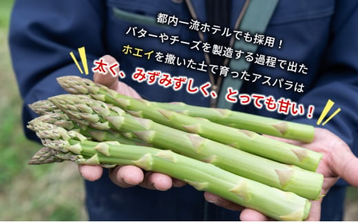 【2025年発送】アスパラ 横市ヨーグルト栽培  3L500g と 横市バター90g セット 横市フロマージュ舎 野菜 アスパラガス グリーンアスパラ 旬 とれたて お取り寄せ 産地直送 小分け 保存 芦別市 北海道 送料無料 バター [№5342-0317]