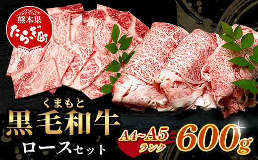 A4・A5 くまもと黒毛和牛 ロース セット 計600g ( すき焼き / 焼肉 各300g ) 