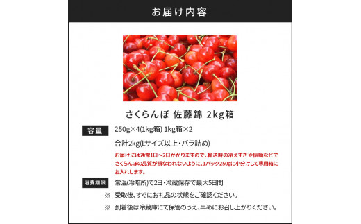 【先行予約】もぎたて直送 さくらんぼ 佐藤錦 2kg箱(北海道余市町産)