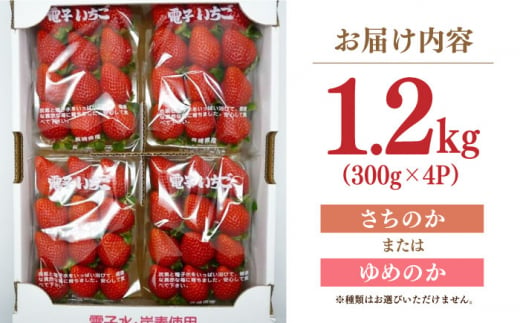 【希少】長崎県産 電子いちご 1.2kg(4パック) さちのか ゆめのか 長崎県/長崎果匠 [42AABK006] 長崎 雲仙 島原 諫早 HAMATSU ハマツ