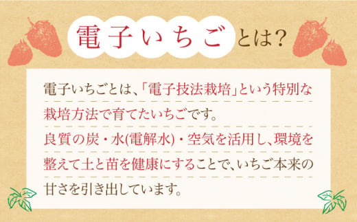【希少】長崎県産 電子いちご 1.2kg(4パック) さちのか ゆめのか 長崎県/長崎果匠 [42AABK006] 長崎 雲仙 島原 諫早 HAMATSU ハマツ