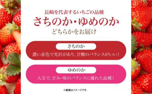 【希少】長崎県産 電子いちご 1.2kg(4パック) さちのか ゆめのか 長崎県/長崎果匠 [42AABK006] 長崎 雲仙 島原 諫早 HAMATSU ハマツ