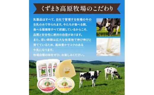 葛巻町おすすめセット ( 10000円 コース ) くずまきワインと高原牧場 チーズ 詰合せ【1231289】