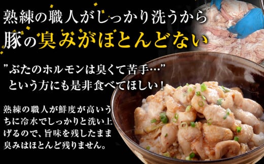 豚ホルモン とんちゃん 1.6kg 独楽 送料無料《30日以内に出荷予定(土日祝除く)》 福岡県 鞍手郡 鞍手町 豚 ホルモン