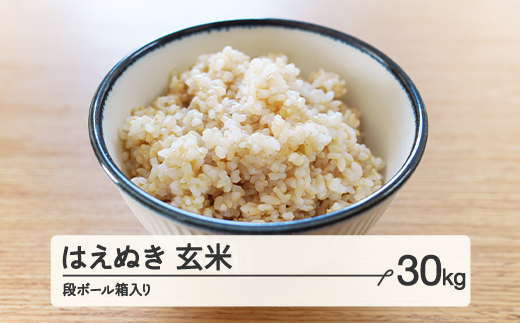 【配送時期が選べる】《先行予約》 2024年産 令和6年産 山形県産 はえぬき 玄米 30kg（段ボール箱入り）（2025年1月後半にお届け）お米 ブランド米 こめ コメ ff-hagxb30-1s