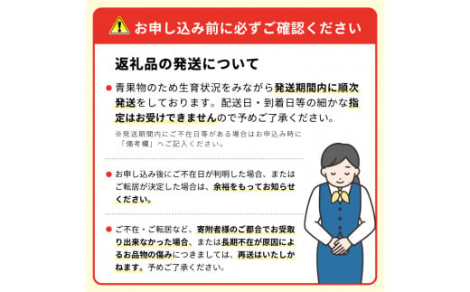 SE0333　【3回定期便】美味しい3種の刈屋梨2025 (幸水梨、豊水梨、あきづき梨または南水梨)