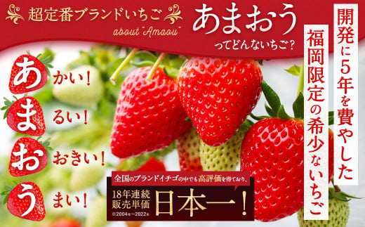 【予約受付】数量限定あまおう 560g 大粒（2L,グランデ,DX デラックス）【2025年1月上旬～3月下旬発送予定】