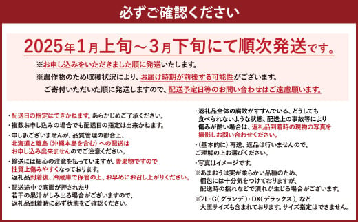 【予約受付】数量限定あまおう 560g 大粒（2L,グランデ,DX デラックス）【2025年1月上旬～3月下旬発送予定】