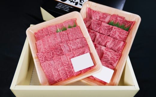 しまね和牛 焼肉用2種食べ比べセット（肩ロース、モモ）800g 【黒毛和牛  おすすめ 冷凍 和牛オリンピック 肉質NO.1】