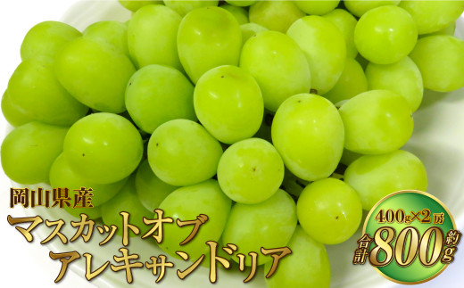 岡山県産 マスカットオブアレキサンドリア 約800g（400g×2房） 【2024年8月下旬～9月下旬迄発送予定】