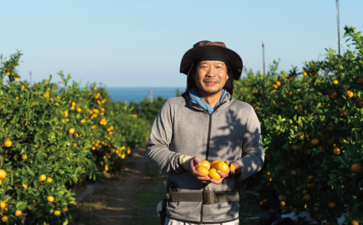 期間限定 2S～2L 大小混合 尾畑さんちの極早生マルチみかん 5kg / みかん 早生 極早生 マルチ