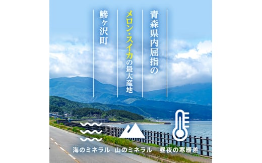 先行 予約 青森 メロン スイカ 各1玉 減農薬栽培 夏の味覚 減農薬 青肉 赤肉 青肉メロン 赤肉メロン フルーツ 果物 旬のフルーツ 旬の果物 旬 夏 レビュー 高評価 先行予約 2025 2025年 青森県