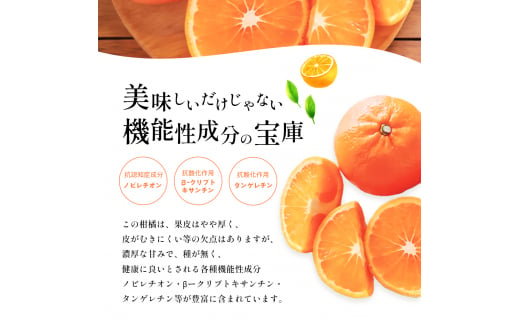 農6みかん「とべ農六柑」希少な品種の柑橘（かんきつ中間母本農6号）5kg　 柑橘 種類 甘い 品種 アロマ おすすめ 愛媛 マドンナ 今が旬 　 [№5310-0227]