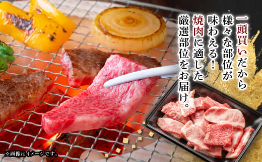 ＜飛騨牛＞切り落し焼肉用＜400g/岐阜県産＞【1107365】