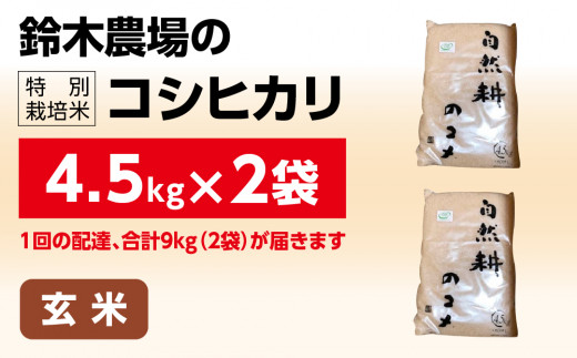 新米【令和六年産】特別栽培米コシヒカリ9kg（4.5kg×2袋）玄米 お米 ブランド米 ライス 炭水化物 ご飯 主食 食卓 おにぎり お弁当 ミネラル米 こしひかり ごはん こめ コメ 産地直送 国産 茨城県産 常総市 運動会 アウトドア キャンプ