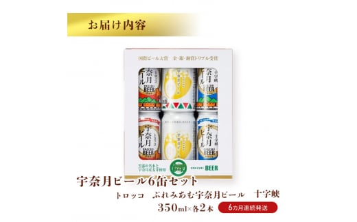 [№5313-0063]ビール ふるさと定期便　宇奈月ビール6缶セット×6回（6か月連続発送）/地ビール クラフトビール 北陸 缶/富山県黒部市