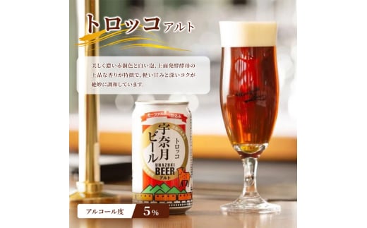 [№5313-0063]ビール ふるさと定期便　宇奈月ビール6缶セット×6回（6か月連続発送）/地ビール クラフトビール 北陸 缶/富山県黒部市