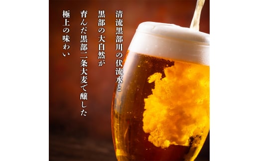 [№5313-0063]ビール ふるさと定期便　宇奈月ビール6缶セット×6回（6か月連続発送）/地ビール クラフトビール 北陸 缶/富山県黒部市