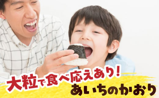 【12回定期便】 あいちのかおり　玄米　5kg　お米　ご飯　愛西市／株式会社戸倉トラクター [AECS015]