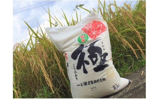 奉納米 コシヒカリ 極 5kg 精米 ／ 一之瀬農業 上質 お米 極み 度会町 伊勢志摩