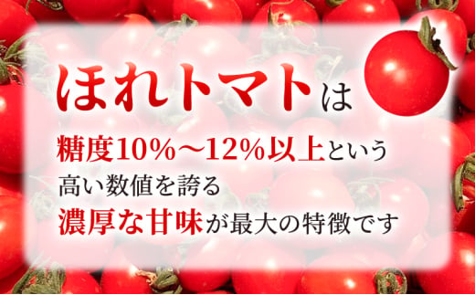 高糖度「ほれトマト」2kg　太陽の恵みをたっぷりもらった糖度10度以上の極上ミニトマト 瑞穂市 お取り寄せ 野菜【予約販売】 [№5787-1065]