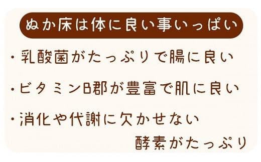 北野農園　泉州水なす農園自慢！無添加 熟成ぬか床（タッパー容器）