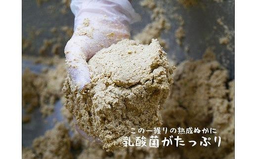 北野農園　泉州水なす農園自慢！無添加 熟成ぬか床（タッパー容器）