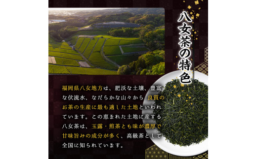 八女茶煎茶セット 極・ 誉・宝の翠(合計300g・100ｇ×3本) 緑茶 せん茶 お茶 許斐本家 福岡 やめ  常温 常温保存【ksg1316】【くしだ企画】