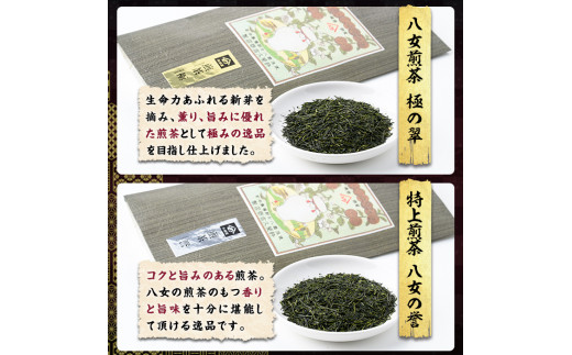 八女茶煎茶セット 極・ 誉・宝の翠(合計300g・100ｇ×3本) 緑茶 せん茶 お茶 許斐本家 福岡 やめ  常温 常温保存【ksg1316】【くしだ企画】