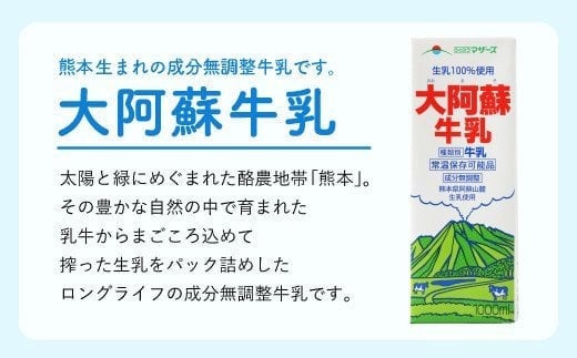 大阿蘇牛乳 1L×6本 合計6L 紙パック 牛乳 飲料 らくのうマザーズ