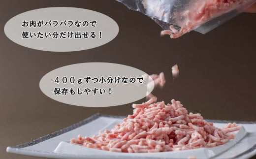 ＜ 定期便12回 ＞ 北海道産 健酵豚 ひき肉 計 1.2kg ( 400g × 3パック ) 全 14.4kg 定期便 豚肉 ブランドポーク 大容量 小分け 挽肉   