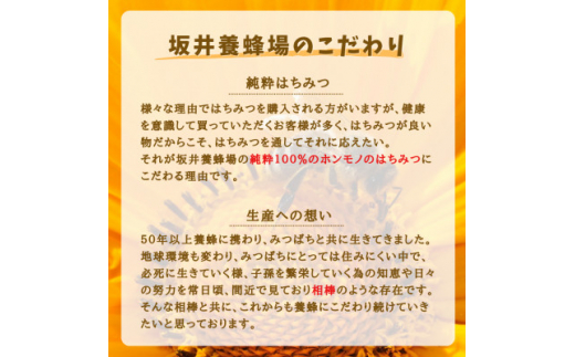 みつばちの雫　国産くり蜂蜜　300g×2【1481082】