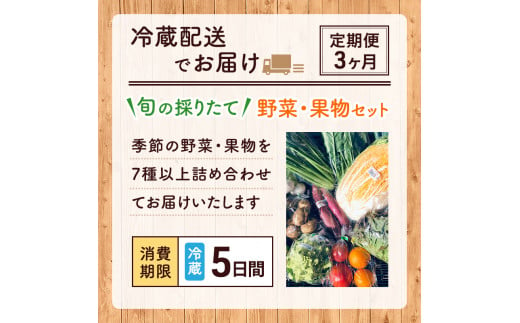 野菜セット 定期便 3ヶ月 旬の採りたて 野菜 果樹 セット フルーツセット