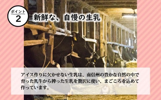 素材のおいしさをたっぷり詰めた　信州りんごアイス 8個入り アイスクリーム 5000円