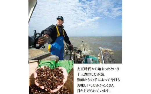 青森県 十三湖産 冷凍しじみ （中粒） 約1.2kg 【小野や】貝 しじみ 蜆 シジミ 魚貝 魚貝類 魚介類 冷凍 調理 料理 中泊町 青森 F6N-093