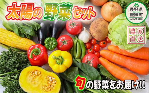 野菜 太陽の野菜セット 【 季節ごと旬の野菜 】 配送先は本州限定 2024年6月中旬頃から2024年11月上旬頃まで順次発送予定 ビオ農産物 太陽の恵み ( 化学肥料 除草剤 不使用 ) 長野県 飯綱町 [0009]