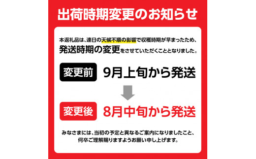 《先行予約》すもも「サンルージュ」約2kg 2～3L【2024年8月中旬頃～発送予定】【山形プラム・大江町産】 【001-079】