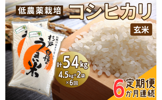 新米 [定期便／6ヶ月] 低農薬栽培のコシヒカリ《玄米》計54kg (4.5kg×2袋×6ヶ月連続)｜おいしい お米 コメ こめ ご飯 ごはん 白米 玄米 お取り寄せ 直送 贈り物 贈答品 ふるさと納税 埼玉 杉戸 [0545]