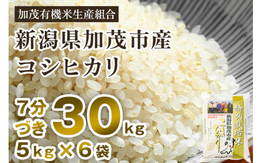 【令和6年産新米先行予約】【7分づき】新潟県加茂市産 特別栽培米コシヒカリ 精米 30kg（5kg×6）  従来品種コシヒカリ 加茂有機米生産組合