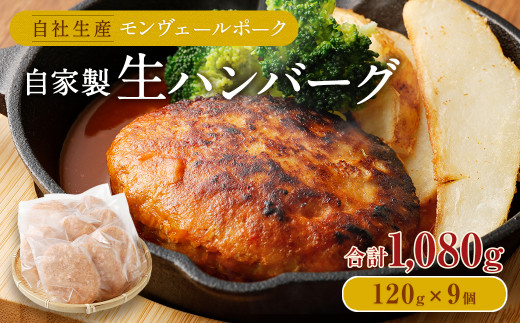 熊本県産モンヴェールポーク自家製生 ハンバーグ 約1kg(120g×9個)