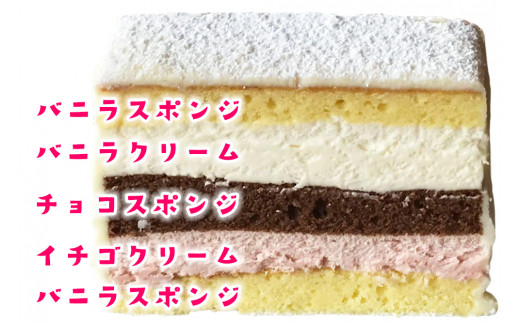 白いレンガ Lサイズ (4～5人用) くせになる美味しさのショコラケーキ [0399]