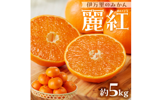 伊万里のみかん「麗紅」5kg 柑橘類 B122