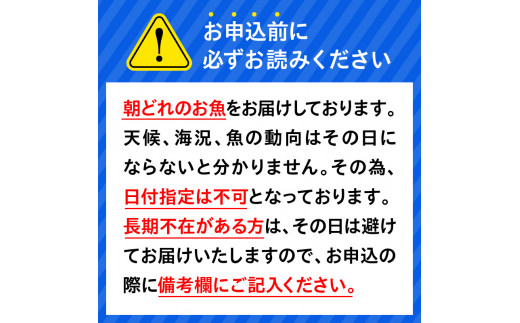 【単月お届け】大和のこだわり漁師のお刺身6人前 N072-YA3332_2