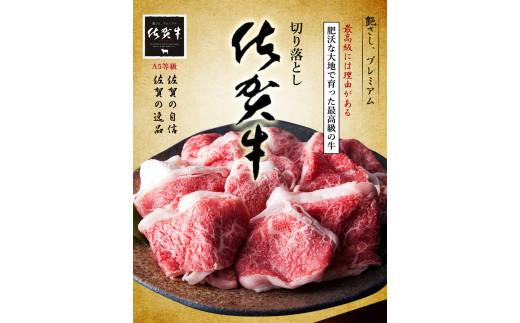 BN017　Ａ5ランク佐賀牛もも切落し500ｇ(250ｇ×2Ｐ)