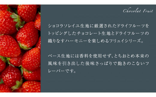 【 お歳暮 熨斗 付】 ショコラフリュイ とちおとめ 12枚 チョコレート チョコ スイーツ デザート 高級 ギフト 贈り物 お礼 プレゼント 手土産 お菓子